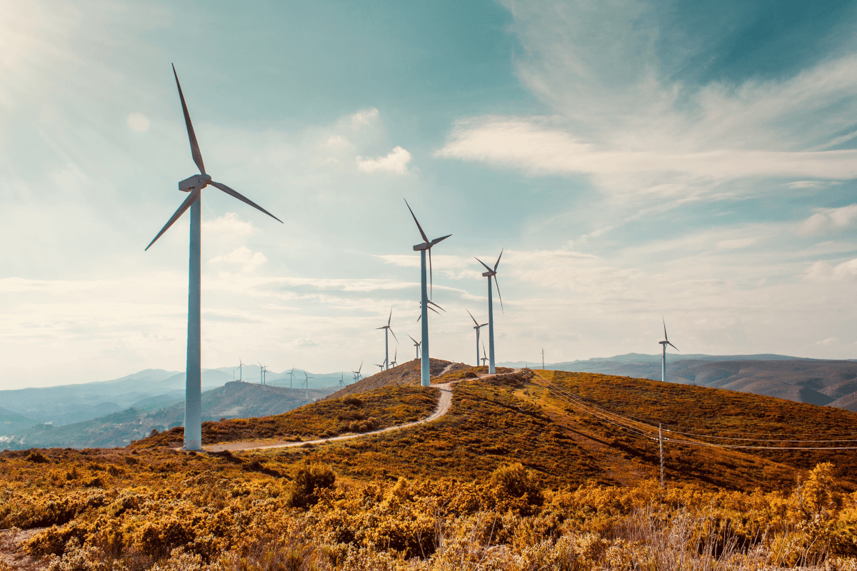 renewable energy